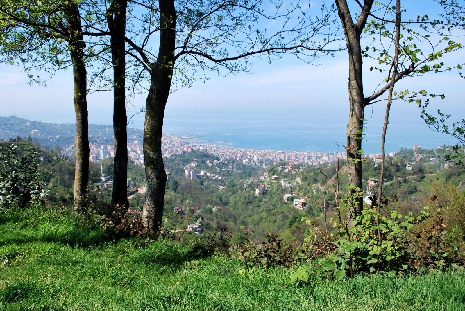Yayla Şenliği ve Doğa Yürüyüşü